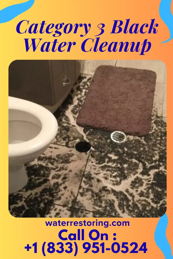 Category 3 Black Water Cleanup in Burgaw, NC