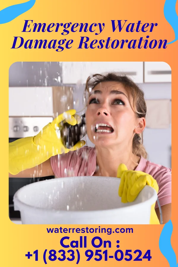 Emergency Water Damage Restoration in Burgaw, NC