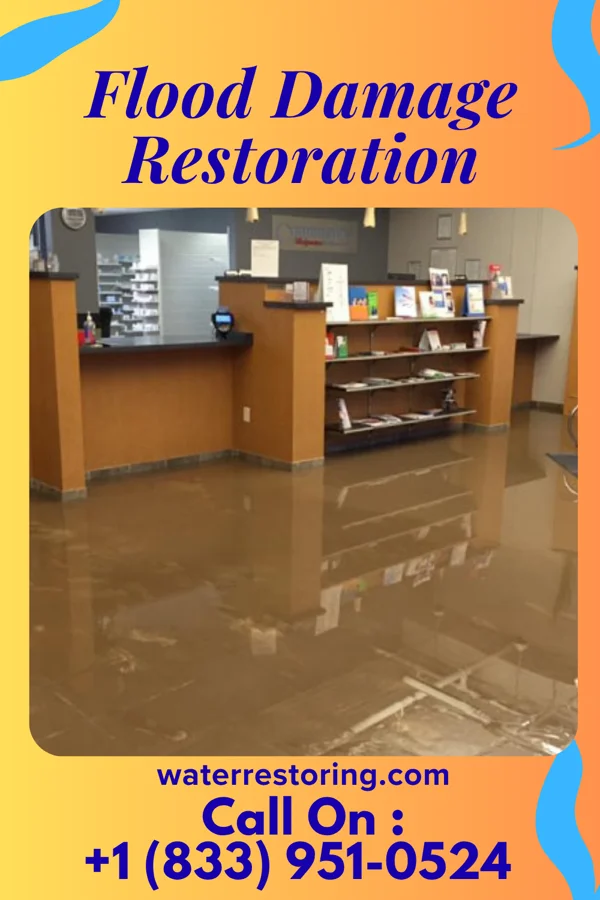 Flood Damage Restoration in Burgaw, NC