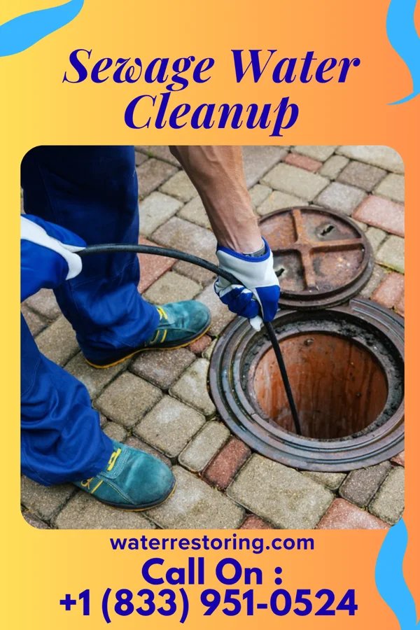 Sewage Water Cleanup in Burgaw, NC